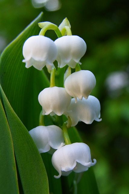 610481d377cd2c58b59350239d50eabb