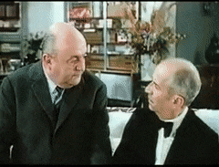 SomberQuaintIcefish-max-1mb