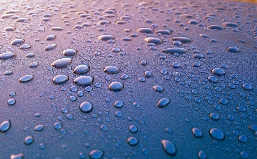 ¡¡¡¡Cajas, contenedores y cargas húmedad!!!!! Y ahora… ¿Qué&nbsp;hacemos?